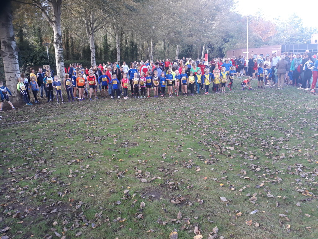 KAVVV Criteriumcross - Schoten (2019)